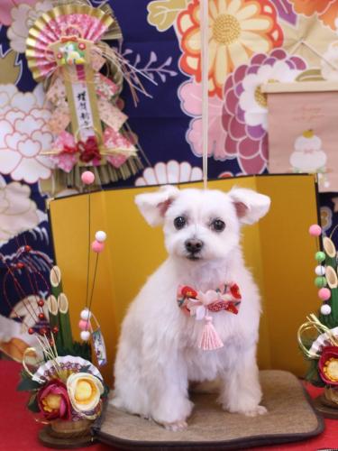 20240127ヒメちゃん